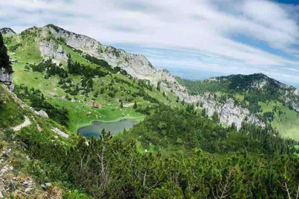 Topmodernes Studio - Sommer Im Bayerischen Inntal 브란넨부르크 외부 사진